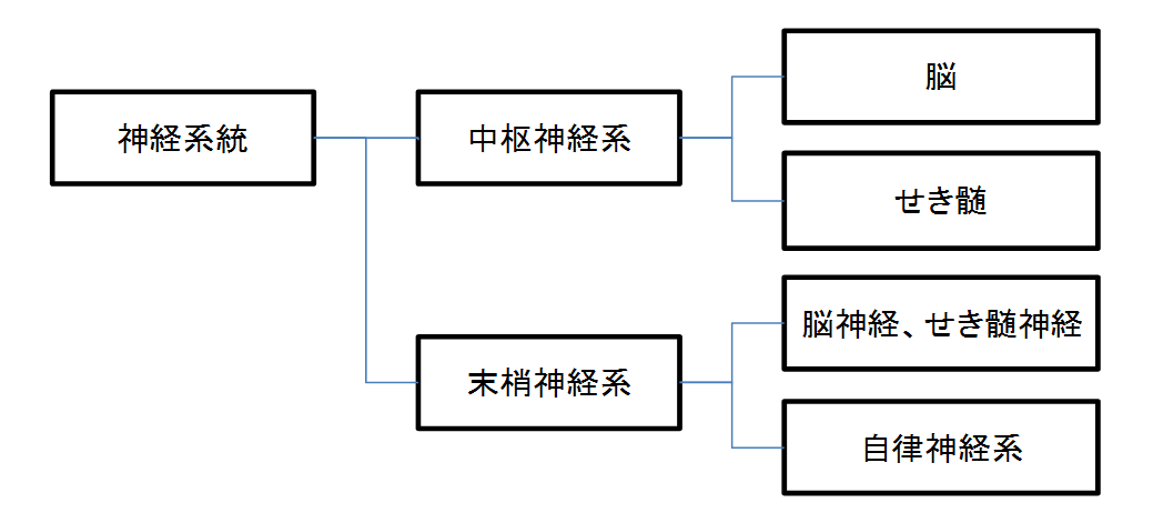 神経系統の機能又は精神の障害 | 松浦行政書士事務所